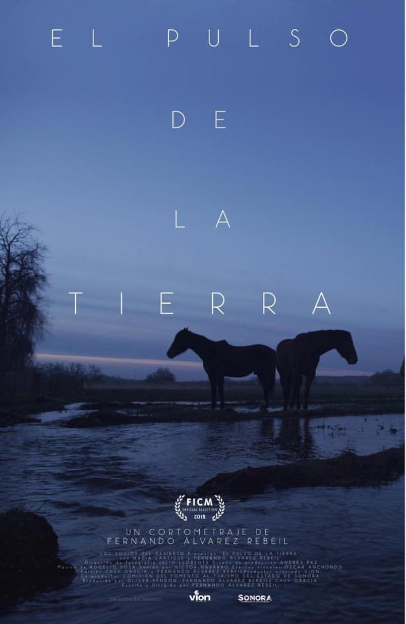 El pulso de la tierra